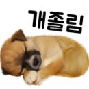 재미나개 이미지