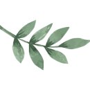 리엠피레