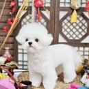 메종VIP203 이미지