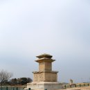 사지 티스토리