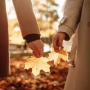 절대남녀 이미지