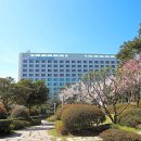 롯데호텔남성사우나 이미지