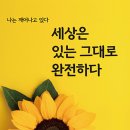 더맑은세상