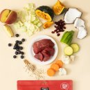 림피드 주식회사 이미지