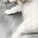 동오메디칼 이미지