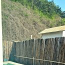 베시두즈 이미지