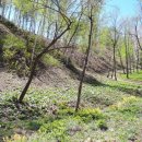 미리내농장 이미지