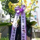 박근혜 대통령, 동생인 근령씨 환갑 축하 호접란 보내 본문 이미지