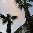 빌레리조트 이미지