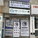 종합격투기하야로비
