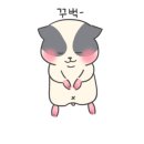(주)모프 이미지