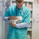 마음반려 동물의료원 이미지