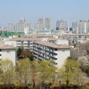 시영스타 이미지