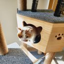 묘릉도원 이미지