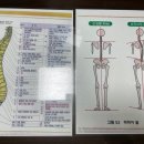까치체형관리 네이버블로그