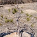 고령농장 이미지