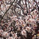 김해건설공업고등학교 이미지