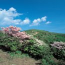 붉은바다 펜션 | 전남 / 구례 / [新택리지]지리산, 섬진강이 낳은 자연환경 ‘삼대삼미(三大三美)의 고장, 구례’
