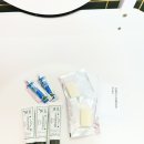[무주 여행] 초록빛 자연 속에서 반려견과 함께한 힐링 시간, 취향 저격 무주 잉카애견펜션 🐾✨