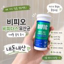비피오 비피더스 유산균 내돈내산 1개월 후기 배에 가스찰때 추천