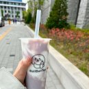 볼볼티 이미지