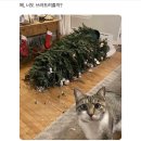 새현대세탁소 이미지