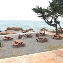 피크닉장 이미지