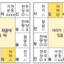 자미두수 명궁강의: 염정천부 이미지