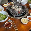 킹덤장어 이미지