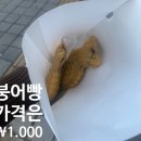 이편한도그 이미지