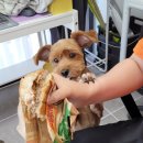 버거킹광주터미널점 이미지