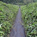 김종찬농장 이미지