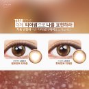 투티어 이미지