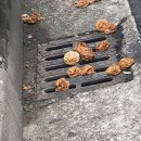 신기양품 이미지