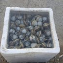 다사항펜션 이미지