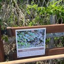 해파랑길9구간 | [강릉바다 트레킹🌊] 해파랑길35코스 + 바다부채길 트레킹 후기