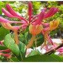 인동초민박 이미지