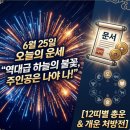 [6월 25일 오늘의 운세] “역대급 하늘의 불꽃, 주인공은 나야 나!” 목요일 아침 문서 쥐고 앉은 자리...