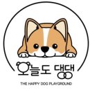 오늘의 댕댕 이미지