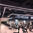 토미짐앤스파 이미지