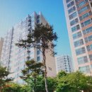 코아루1차아파트 이미지