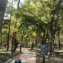 산성계곡 생태공원 내 이미지