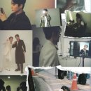 COSMOPOLITAN 카카오 검색결과