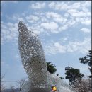 자라섬 캠핑장 이미지