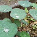 성균농장 이미지