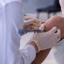 시너지정형외과의원 이미지