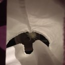 퓨어스파(pure spa)