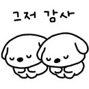 정관장 GYM 이미지