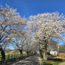 구림보건지소 이미지