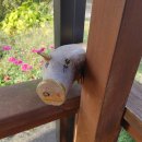 흥림농장 이미지